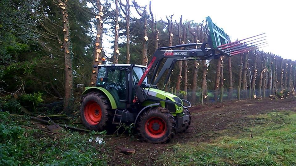 Cork Tree Surgeons