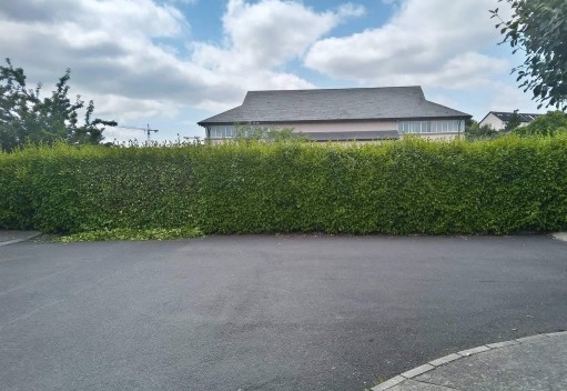 5 Star Tree Care & Gardening