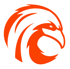Flying Web Solutions