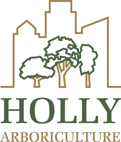 Holly Arb